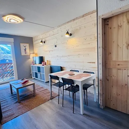 Renove Au Centre Des 2 Alpes, Proche Pistes - Fr-1-546-65 *