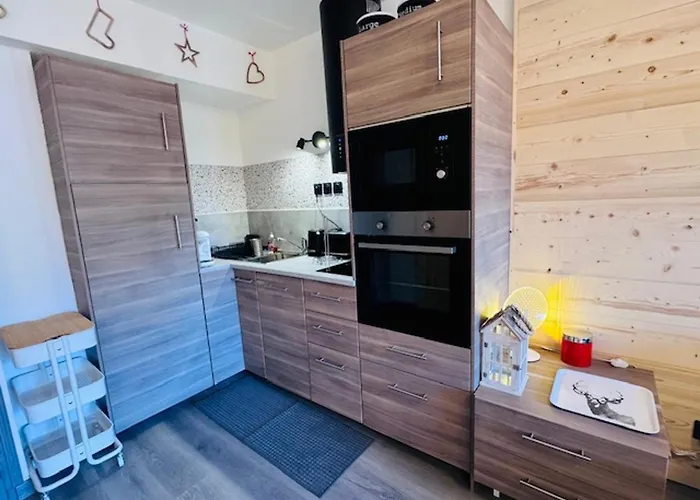 Renove Au Centre Des 2 Alpes, Proche Pistes - Fr-1-546-65 Apartment *